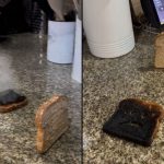 “ही कला आहे”: एमिनेम सॉंगसह बर्न टोस्टचा क्रिएटिव्ह व्हिडिओ इंटरनेट तोडतो